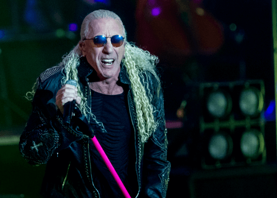 Dee Snider Net Worth