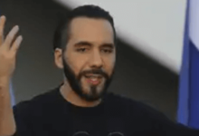 Differ El Salvador Net Worth