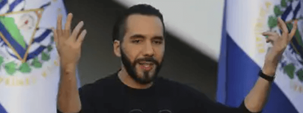 Differ El Salvador Net Worth