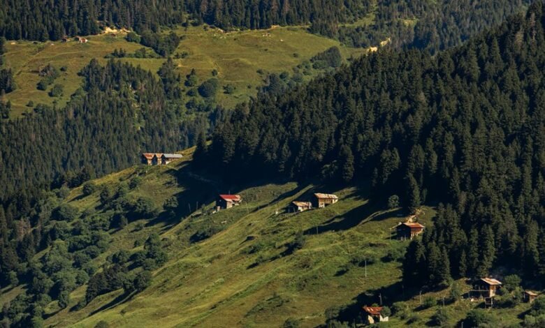 call failures by region