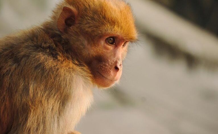 caller profiling by duration