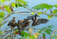 missed calls and churn