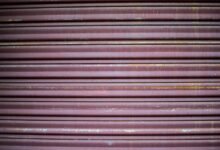 supritha s biography details summary