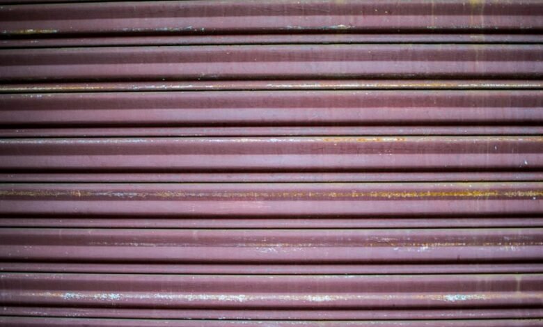 supritha s biography details summary