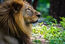 telangana sepc latest updates