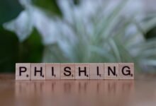 fraud protection oversight network