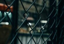 global call defense network