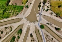 risk management contact numbers